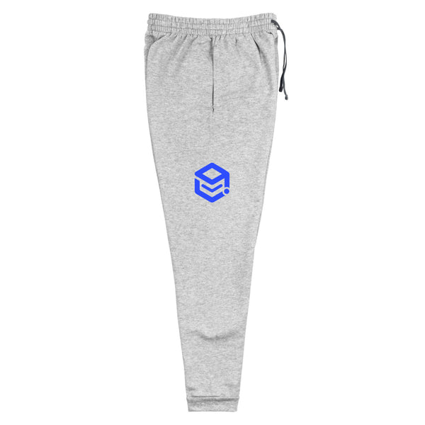 Unisex Joggers with Apimio logo