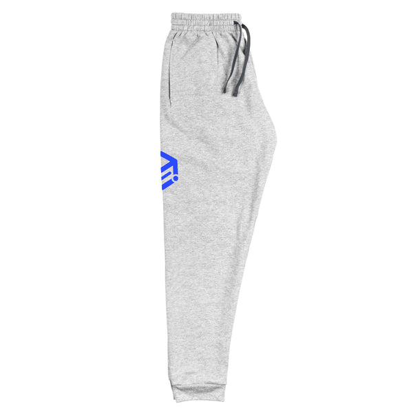 Unisex Joggers with Apimio logo